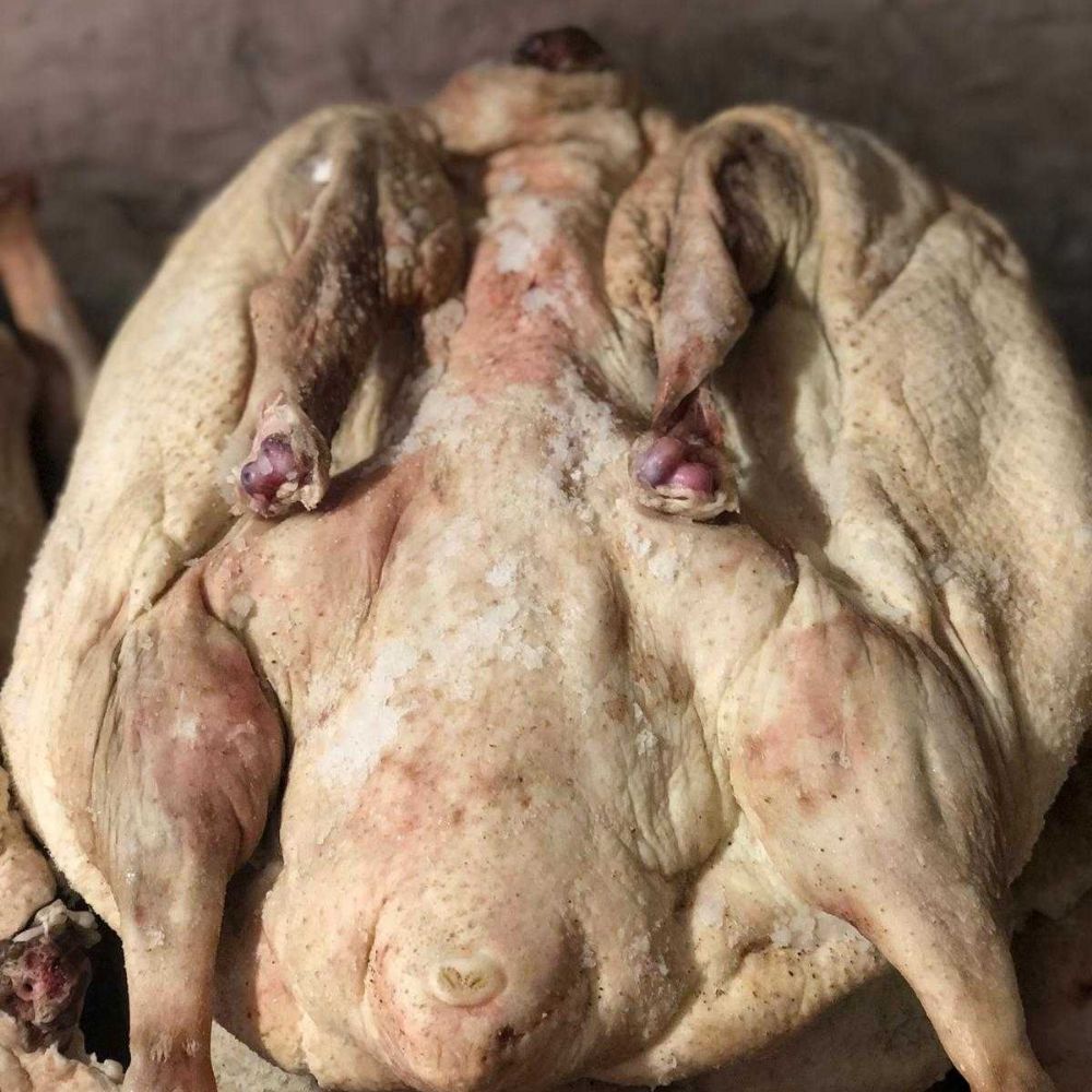 Kurutulmuş Kars Kaz Eti 1 Adet